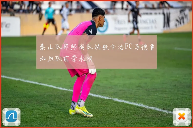 泰山队军师离队执教今治FC马德鲁加归队前景未明